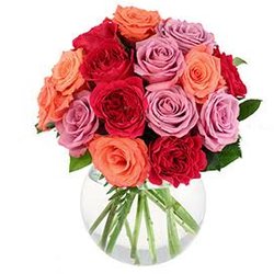 Kester's Flower Boutique - Roses Roses Roses