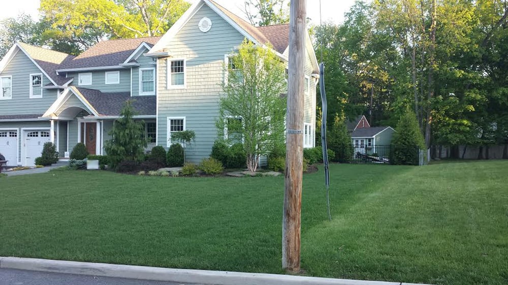 Go Organic - tree service in Oakland, NJ