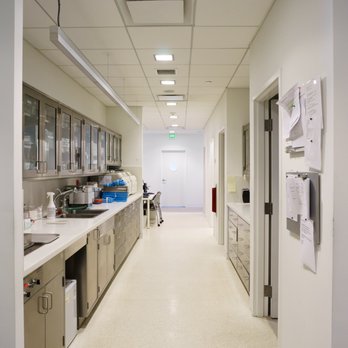 Anthony Pavone, DDS MD - General Dentistry Near Me Anthony Pavone, DDS MD - General Dentistry Near Me