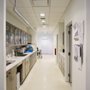 Photo of Anthony Pavone, DDS MD