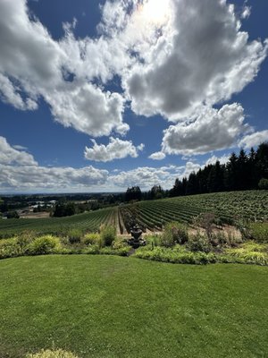 Bergström Wines Tasting Room by null