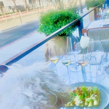 Juliet - Fendi admiring my selections while in the outdoor patio - French Near Me - Culver City, California