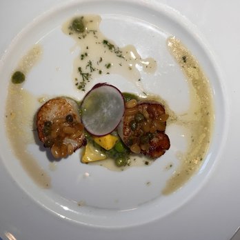 Gary Danko - Scallops - New American Near Me - San Francisco, California Gary Danko - Scallops - New American Near Me - San Francisco, California