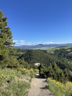 College M Trailhead and Picnic Area by null