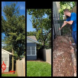 LGWService - Oak tree and stump removal close to the house.