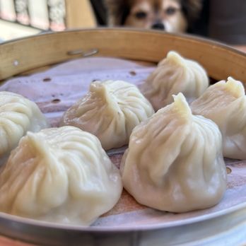Dumpling Yo! - Dim Sum Near Me - Sacramento, California Dumpling Yo! - Dim Sum Near Me - Sacramento, California