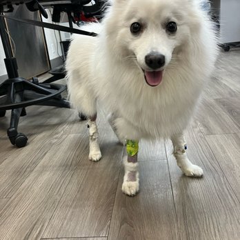 Beacon Veterinary Specialists - Veterinarians Near Me - Fremont, California Beacon Veterinary Specialists - Veterinarians Near Me - Fremont, California