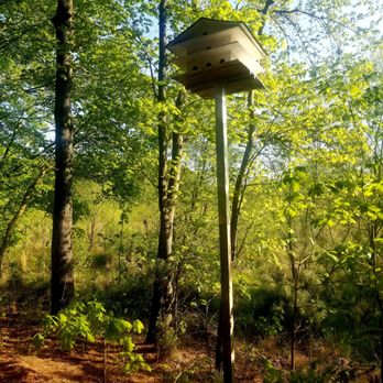 Sandy Bottom Nature Park - Parks Near Me - Hampton, Virginia Sandy Bottom Nature Park - Parks Near Me - Hampton, Virginia