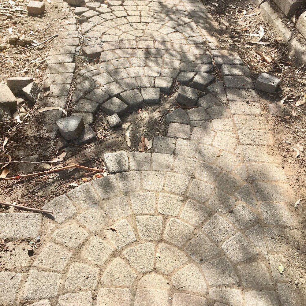 a cobblestone walkway a cobblestone walkway