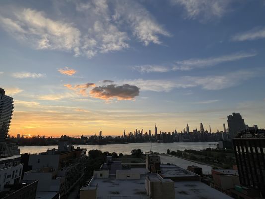 Laser Wolf Brooklyn by null