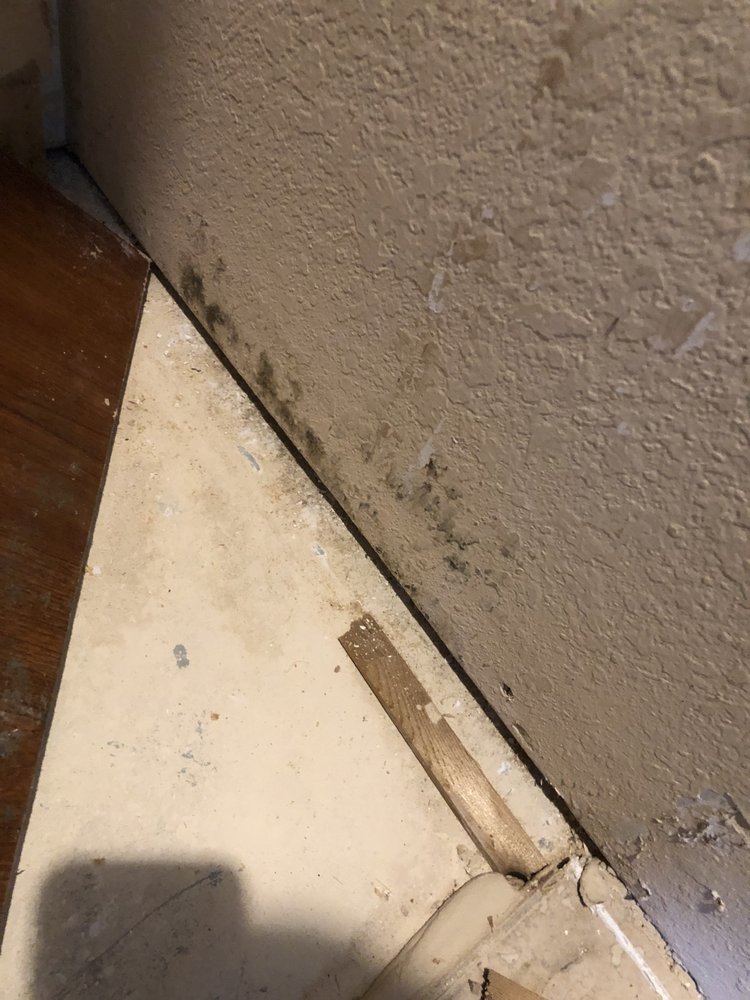 Slide of Restoration Rescue