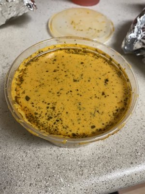 Taj Mahal Indian Cuisine by null