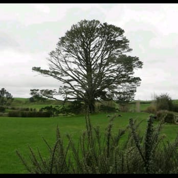 Hobbiton - Tours Near Me - Matamata, WKO Hobbiton - Tours Near Me - Matamata, WKO