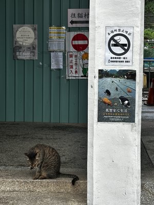 Houtong Cat Village by null