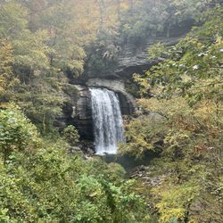 Elope Asheville