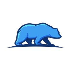 Blue Bear Credit Repair