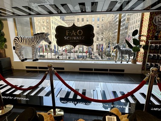 FAO Schwarz by null