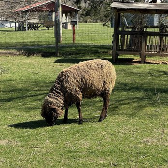 Wisteria Farm & Vineyard - Wineries Near Me - Stanley, Virginia