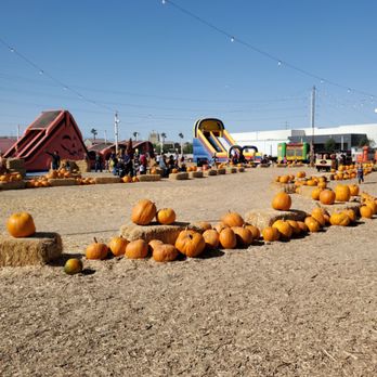 Seasonal Adventures Pumpkin Patch & Trees - Amusement Parks Near Me - Henderson, Nevada Seasonal Adventures Pumpkin Patch & Trees - Amusement Parks Near Me - Henderson, Nevada