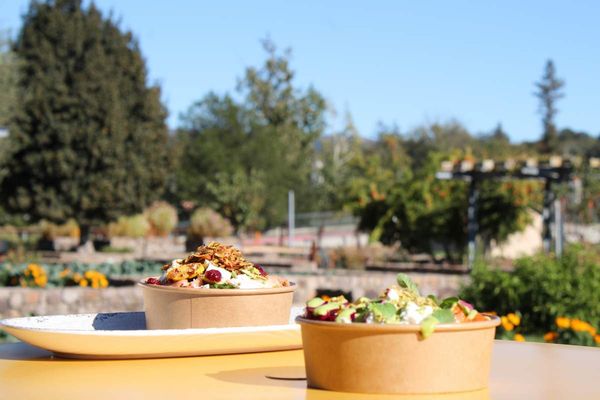 Lunch Box at Copia by null