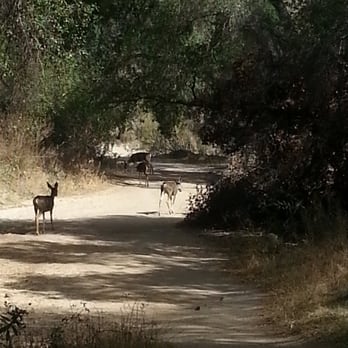 Whiting Ranch Wilderness Park - Parks Near Me - Foothill Ranch, California Whiting Ranch Wilderness Park - Parks Near Me - Foothill Ranch, California