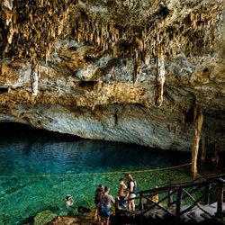 Yucatan Cenote - The Cenote featured in the Down the Rabbit Hole Adventure.