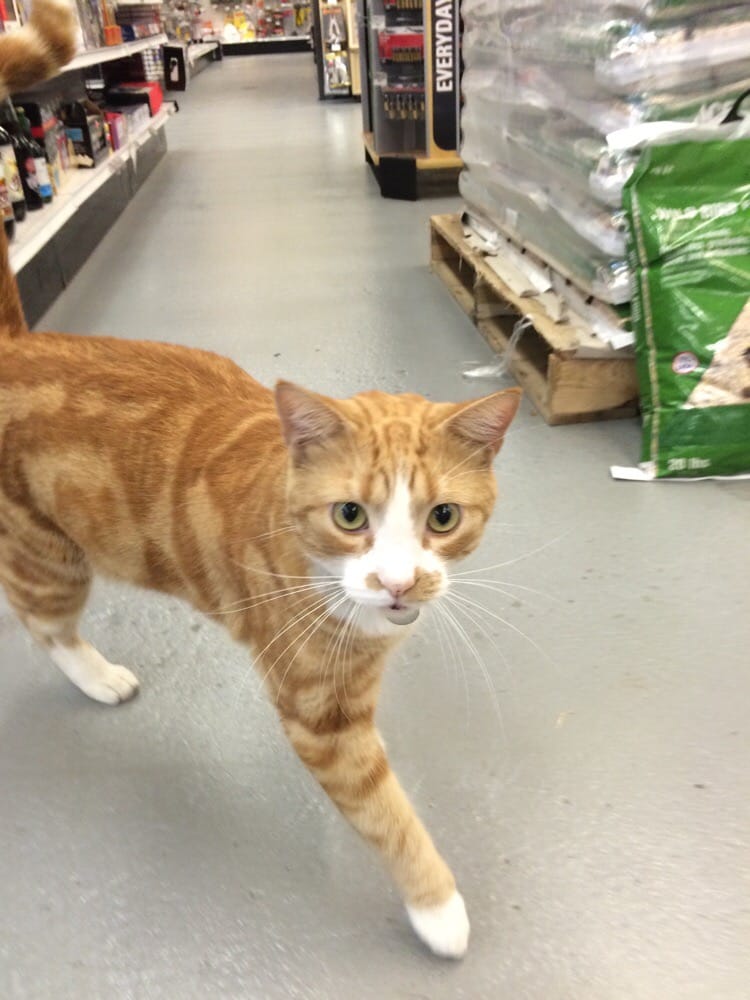 MILLHOPPER ACE HARDWARE Updated September 2024 5200 Nw 43Rd St Ste 203, Gainesville, Florida