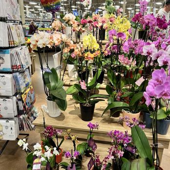 King Soopers - Orchids - Grocery Near Me - Castle Rock, Colorado