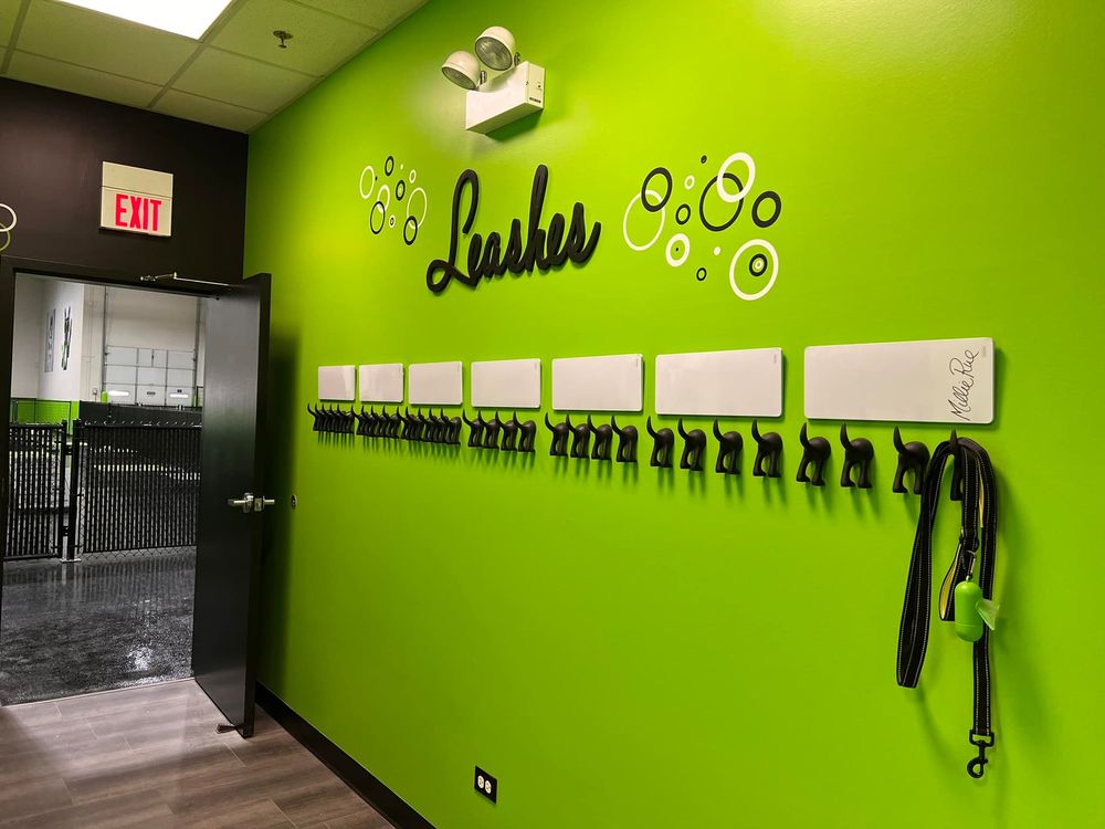 Party Dog Daycare - pet boarding facility in Oswego, IL