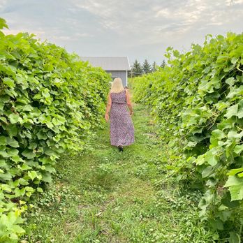 Next Chapter Winery - Wineries Near Me - New Prague, Minnesota