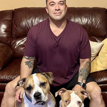 Pitbull Claim Adjusters - Pibull Claim Adjusters Mascots. - Public Adjusters Near Me - Davie, Florida Pitbull Claim Adjusters - Pibull Claim Adjusters Mascots. - Public Adjusters Near Me - Davie, Florida