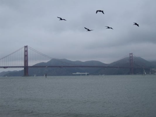 Crissy Field Center by null