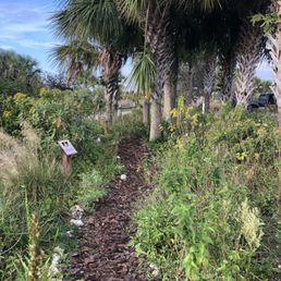 Butterfly garden built by PBCHS Butterfly garden built by PBCHS