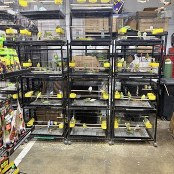 Valley Indoor Swap Meet - Pet shop - Flea Markets Near Me - Pomona, California