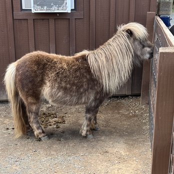 Nova Wild - Petting Zoos Near Me - Vienna, Virginia