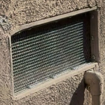 Rodent Control - Pest Control Near Me - Los Angeles, California Rodent Control - Pest Control Near Me - Los Angeles, California