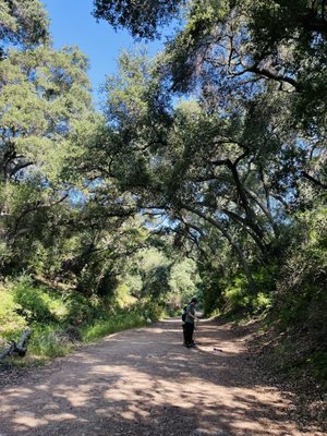 Claremont Hills Wilderness Park by null