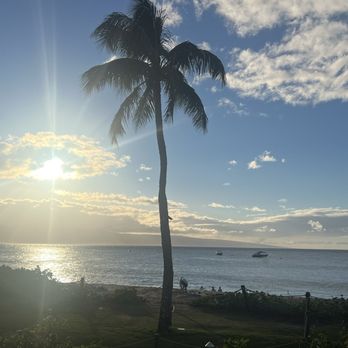 ULU KITCHEN - Updated March 2025 - 252 Photos & 137 Reviews - 2365 ...