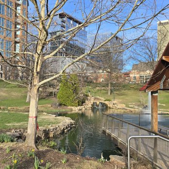 Shaw Park - Great scenery and benches around to sit and enjoy - Parks Near Me - Clayton, Missouri