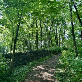 McConnell Springs - Path - Parks Near Me - Lexington, Kentucky McConnell Springs - Path - Parks Near Me - Lexington, Kentucky