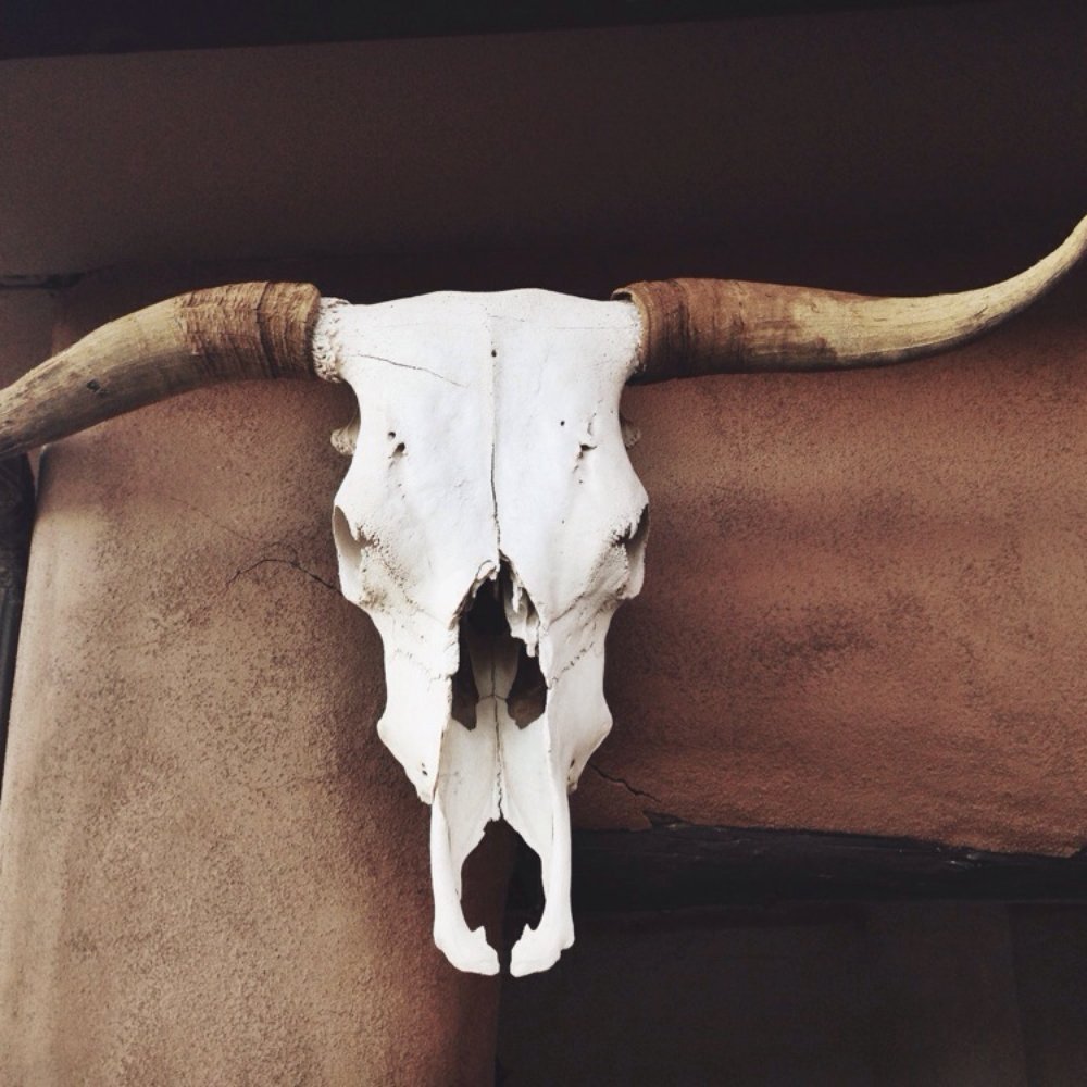 Ghost Ranch - Museums Near Me - Abiquiu, New Mexico Ghost Ranch - Museums Near Me - Abiquiu, New Mexico