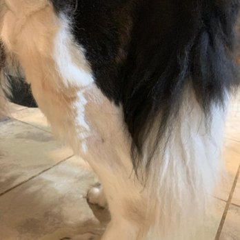Petco - leg - Pet Stores Near Me - Frisco, Texas Petco - leg - Pet Stores Near Me - Frisco, Texas