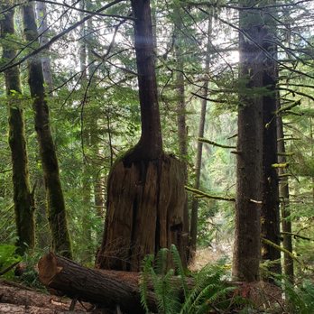 Melmont Ghost Town - Hiking Near Me - Carbonado, Washington