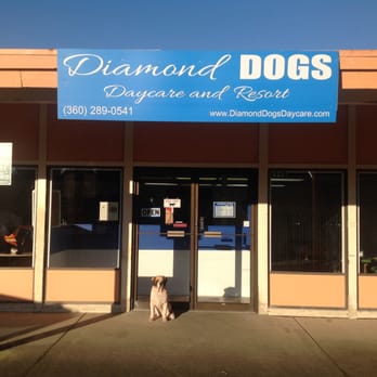 diamond dog day care