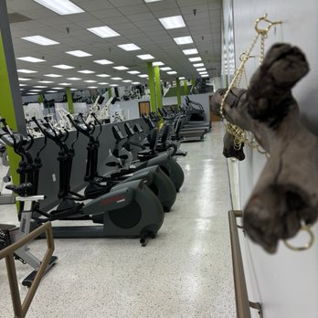 Utopia Fitness - Gym time - Gyms Near Me - Lewisville, North Carolina Utopia Fitness - Gym time - Gyms Near Me - Lewisville, North Carolina