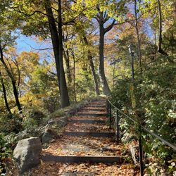 Fort Tryon Park