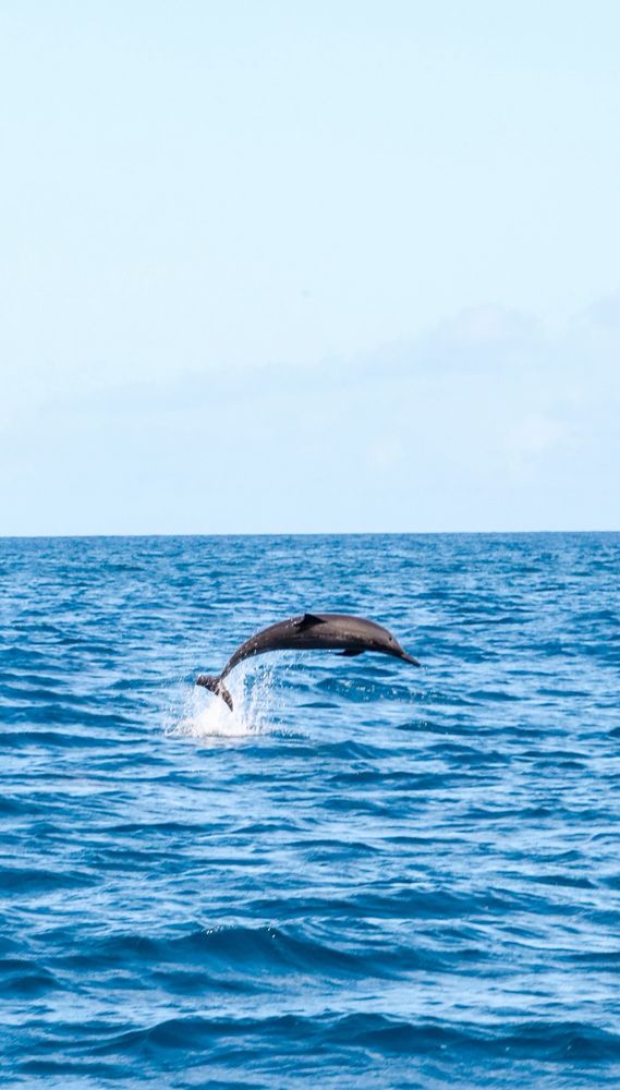 Social spots from Ocean Outfitters Hawaii