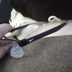 Charles H Rutan, OD - Advantage Eyecare - These babies costed a mint but they are so worth the money. And they wouldnt even give me a cleaning cloth to clean them with,