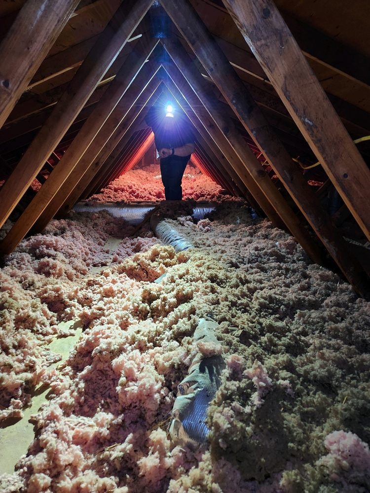 Advantage Inspections - mold inspector in Pulaski, VA