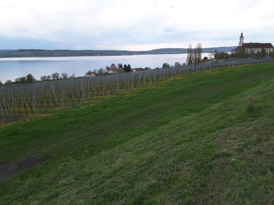 Zisterzienser-Priorat Kloster Birnau by null